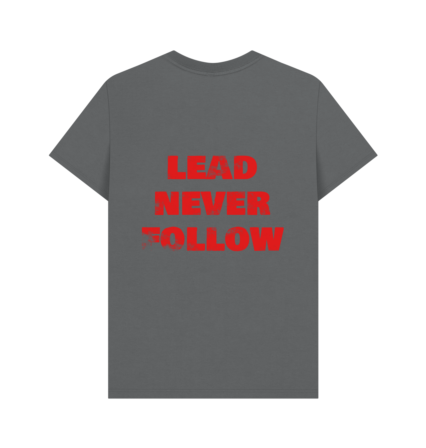 Slate Grey Printed T-shirt Back