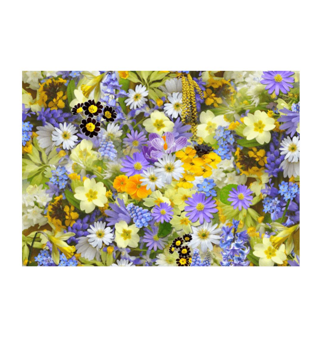 White Spring Flowers Wall Art