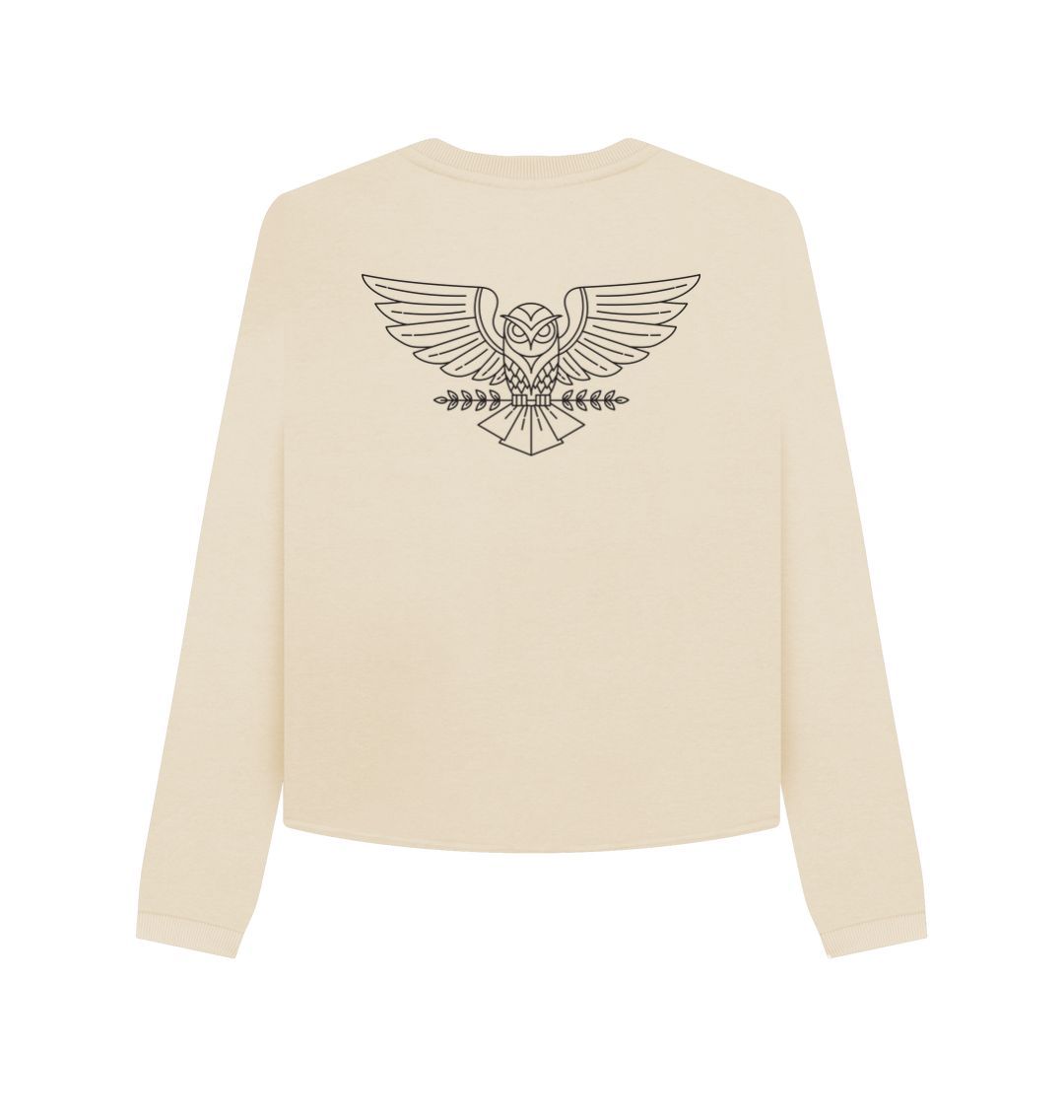 Oat Fly High Owl Boxy Jumper