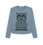 Stone Blue Owl Boxy Jumper