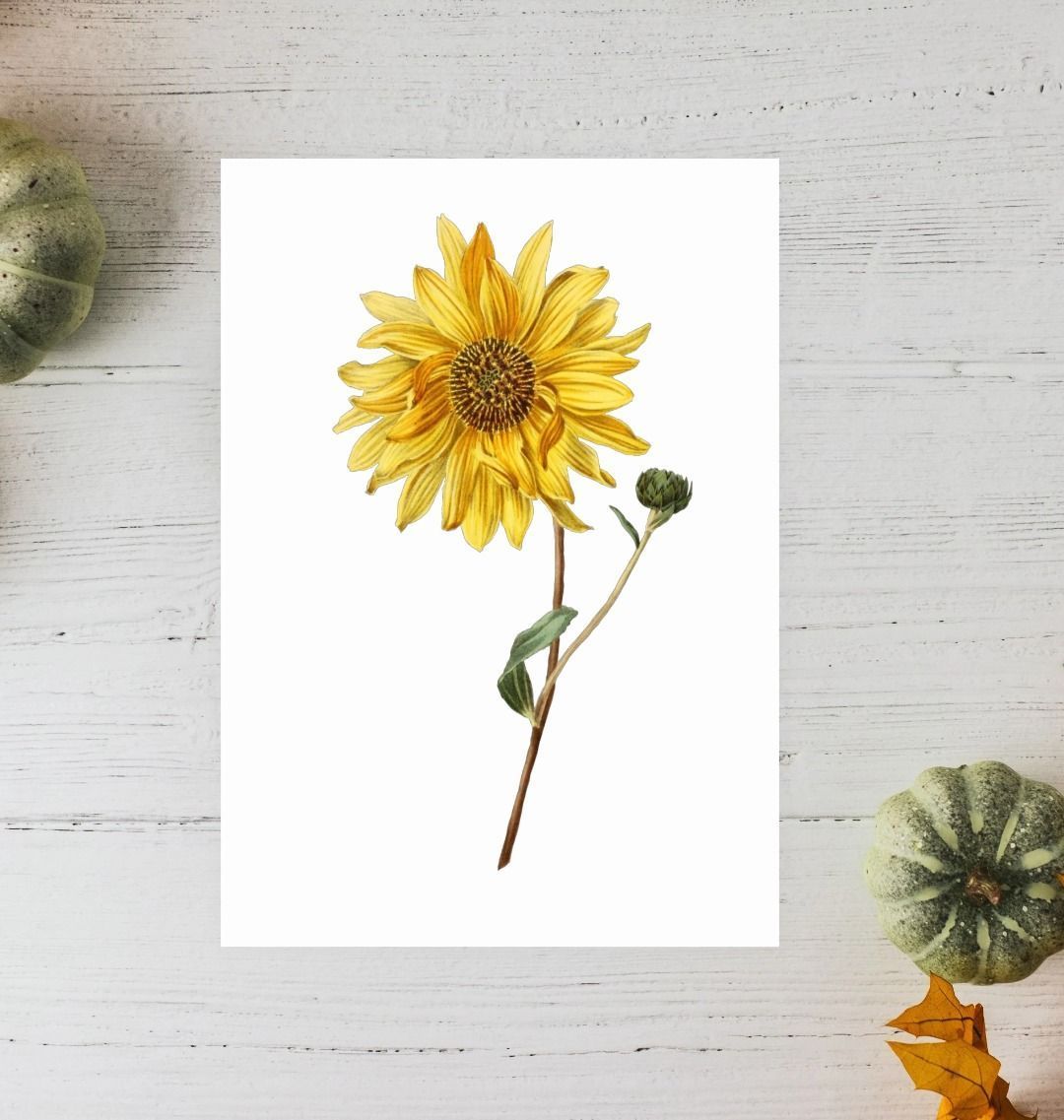 Sunflower Wall Art