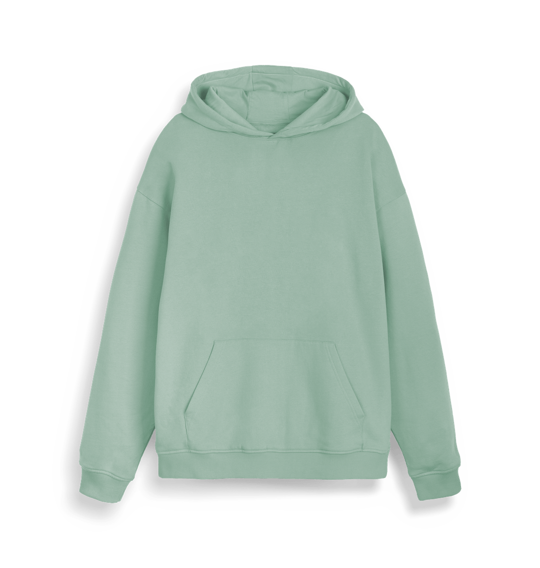 Aloe Plain Unisex Cooper Dry Hoodie Sweatshirt