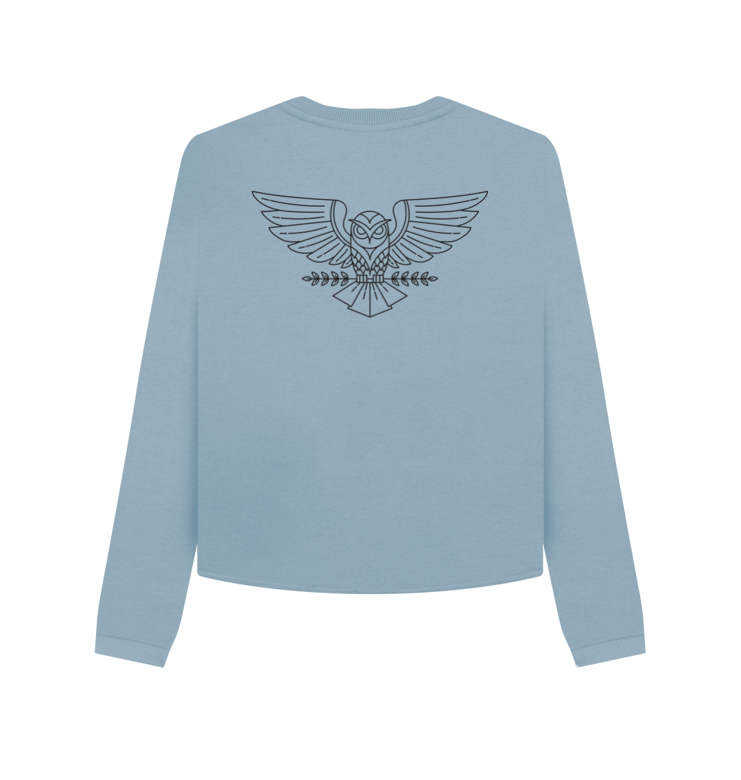 Stone Blue Printed Boxy Jumpers Back