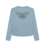 Stone Blue Fly High Owl Boxy Jumper