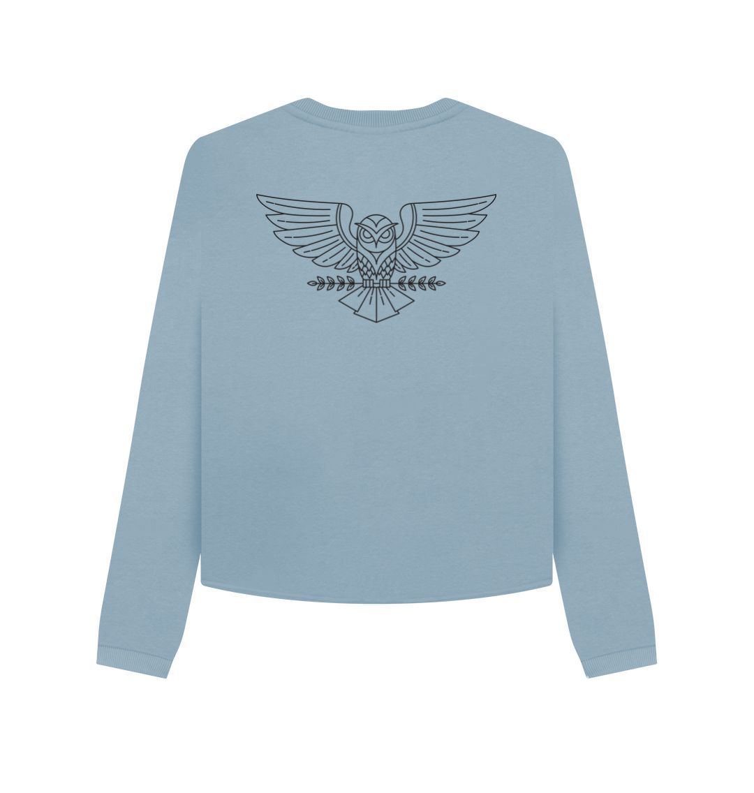 Stone Blue Fly High Owl Boxy Jumper