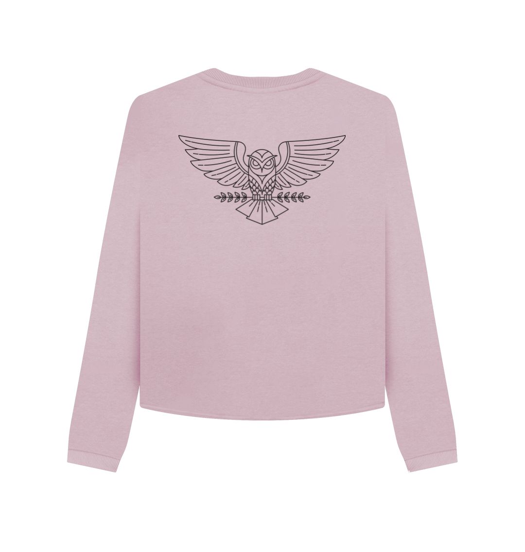 Mauve Fly High Owl Boxy Jumper