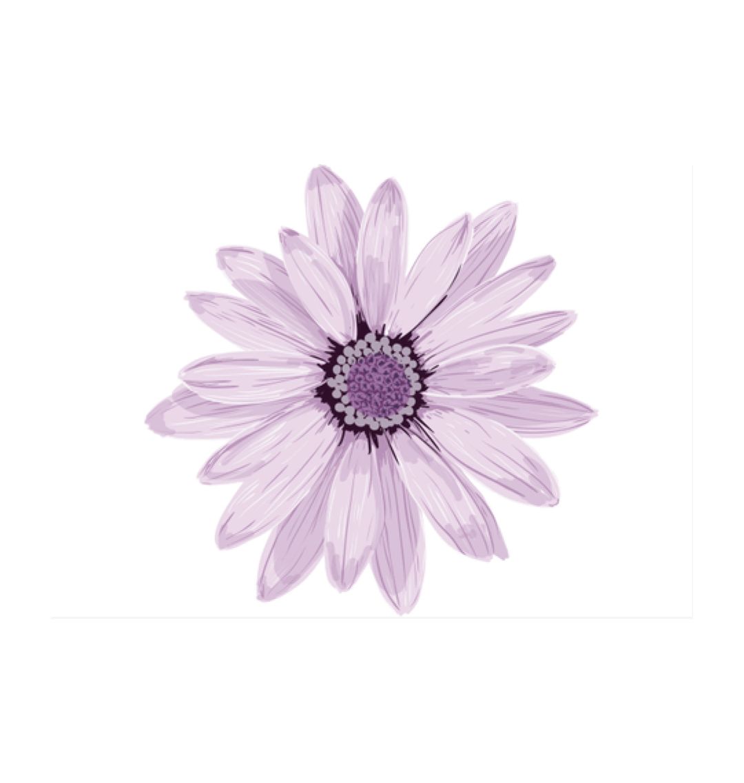 White Purple Flower Poster