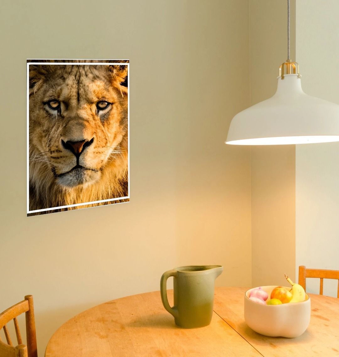 Lion Wall Art