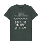 Dark Grey I Never Question My Wife's Choices Tee