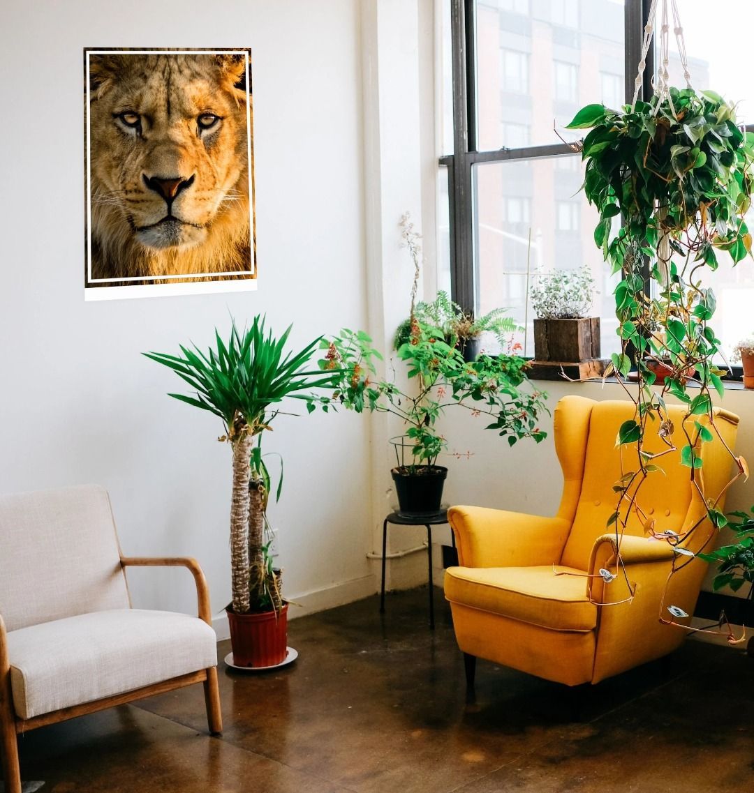 Lion Wall Art