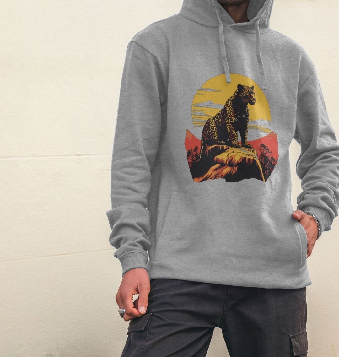 Speed of the Sun Hoodie