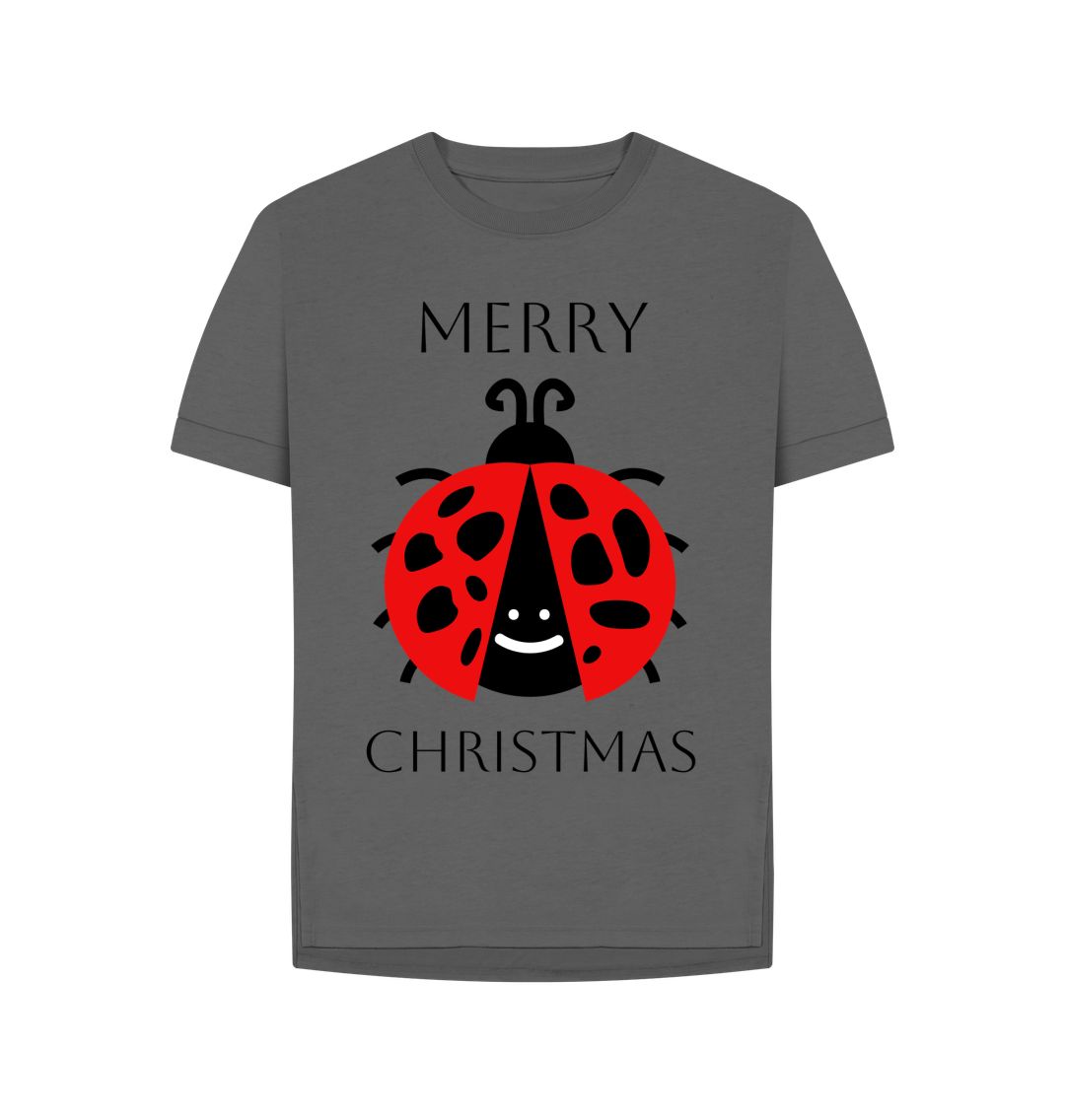 Slate Grey Ladybird Christmas Relaxed Tee