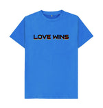 Bright Blue Love Wins