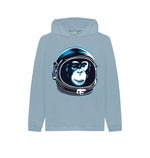 Stone Blue Space Monkey Hoody