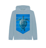 Stone Blue Turtle Hoody