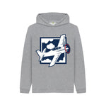 Athletic Grey Plane Hoody